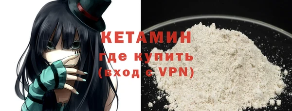 шишки Магас