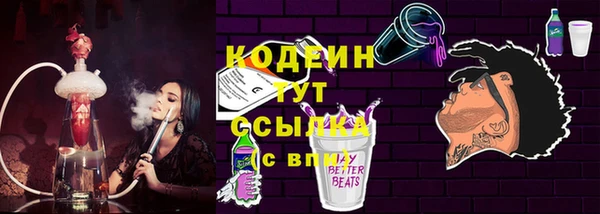 шишки Магас