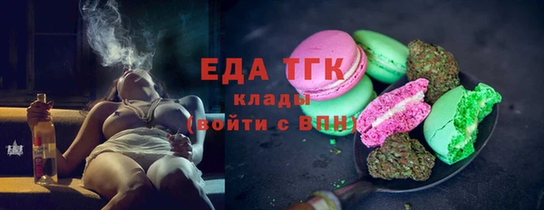 шишки Магас