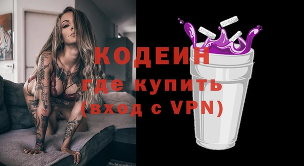 шишки Магас