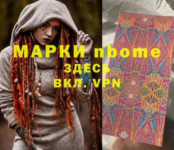 шишки Магас