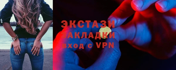 шишки Магас