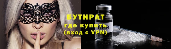 шишки Магас