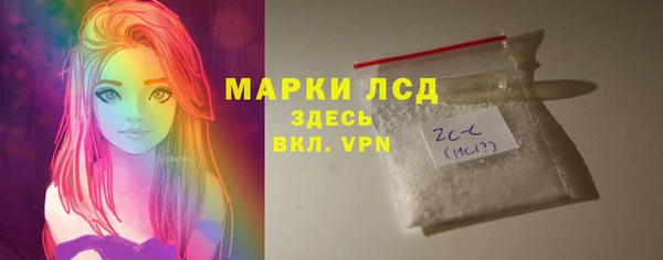 шишки Магас