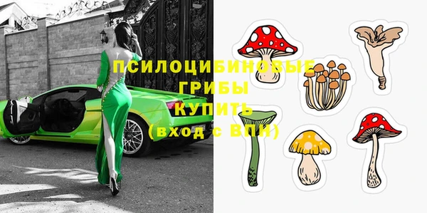 шишки Магас