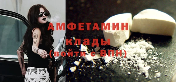шишки Магас