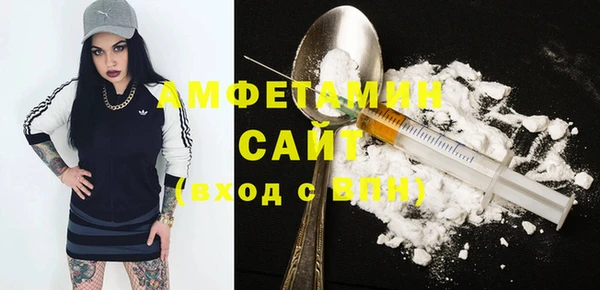 шишки Магас